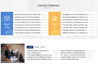 旺和招標咨詢 專業引領，精準服務工程招標與商務信息咨詢