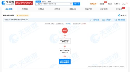 商務信息咨詢 企業決策的智慧引擎